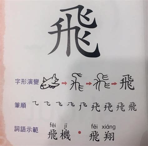 飛字 魚有靈性嗎